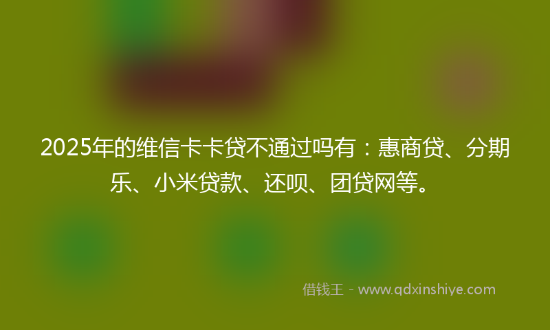 2025年的维信卡卡贷不通过吗有：惠商贷、分期乐、小米贷款、还呗、团贷网等。