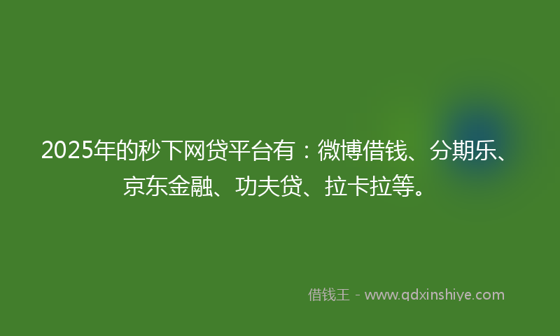 2025年的秒下网贷平台有：微博借钱、分期乐、京东金融、功夫贷、拉卡拉等。