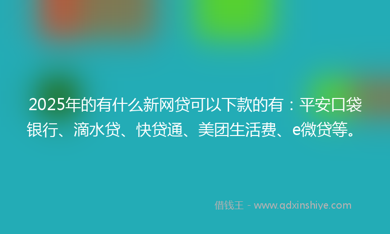 2025年的有什么新网贷可以下款的有：平安口袋银行、滴水贷、快贷通、美团生活费、e微贷等。