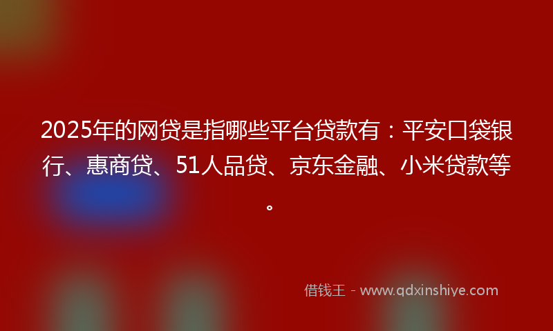 2025年的网贷是指哪些平台贷款有：平安口袋银行、惠商贷、51人品贷、京东金融、小米贷款等。