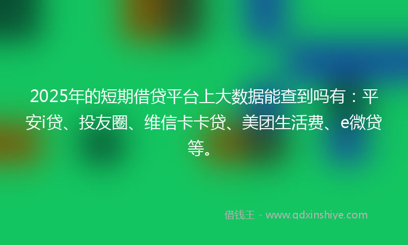 2025年的短期借贷平台上大数据能查到吗有：平安i贷、投友圈、维信卡卡贷、美团生活费、e微贷等。