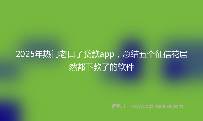 2025年热门老口子贷款app，总结五个征信花居然都下款了的软件