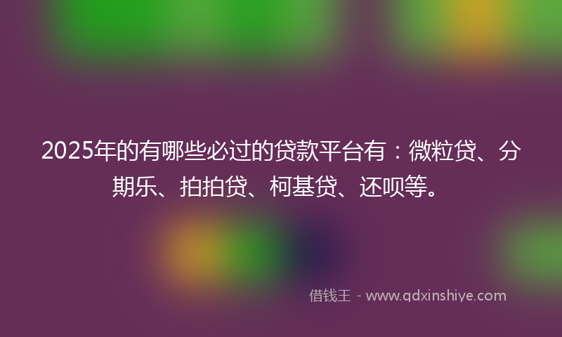 2025年的有哪些必过的贷款平台有：微粒贷、分期乐、拍拍贷、柯基贷、还呗等。