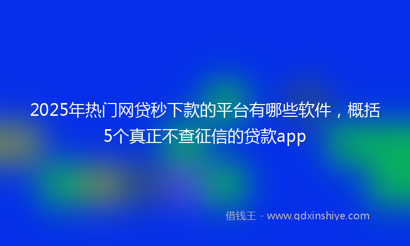 2025年热门网贷秒下款的平台有哪些软件，概括5个真正不查征信的贷款app