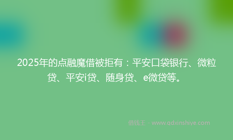 2025年的点融魔借被拒有：平安口袋银行、微粒贷、平安i贷、随身贷、e微贷等。