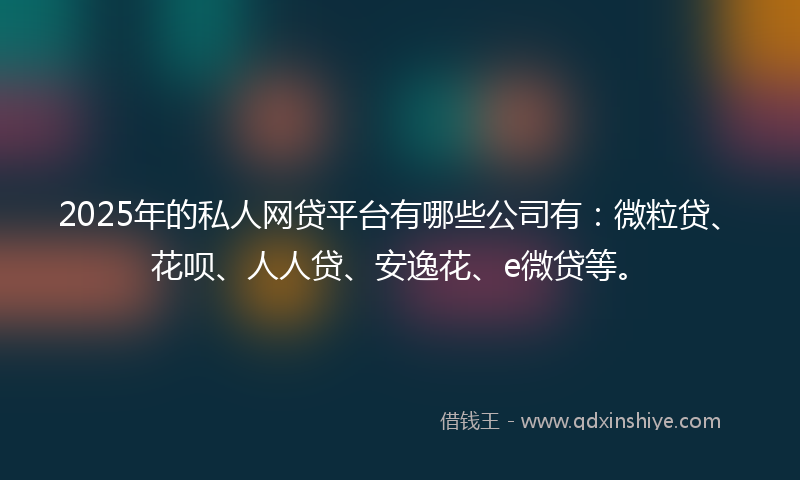 2025年的私人网贷平台有哪些公司有：微粒贷、花呗、人人贷、安逸花、e微贷等。