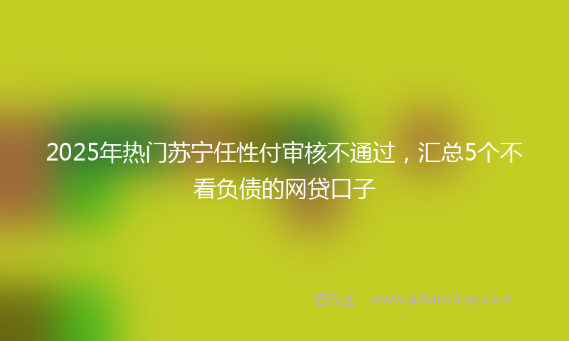 2025年热门苏宁任性付审核不通过，汇总5个不看负债的网贷口子