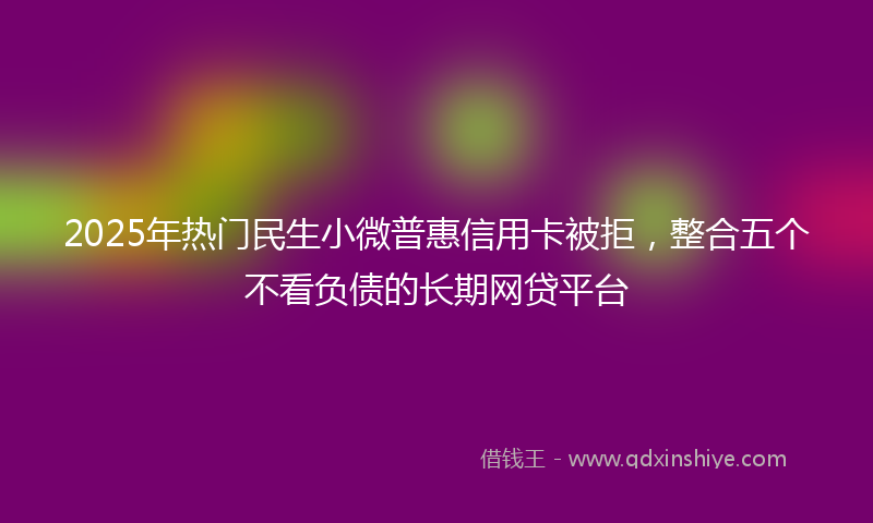 2025年热门民生小微普惠信用卡被拒，整合五个不看负债的长期网贷平台