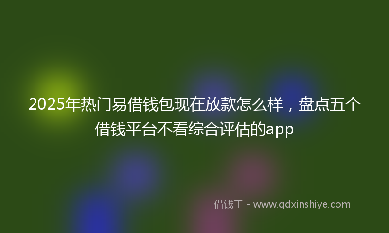 2025年热门易借钱包现在放款怎么样，盘点五个借钱平台不看综合评估的app