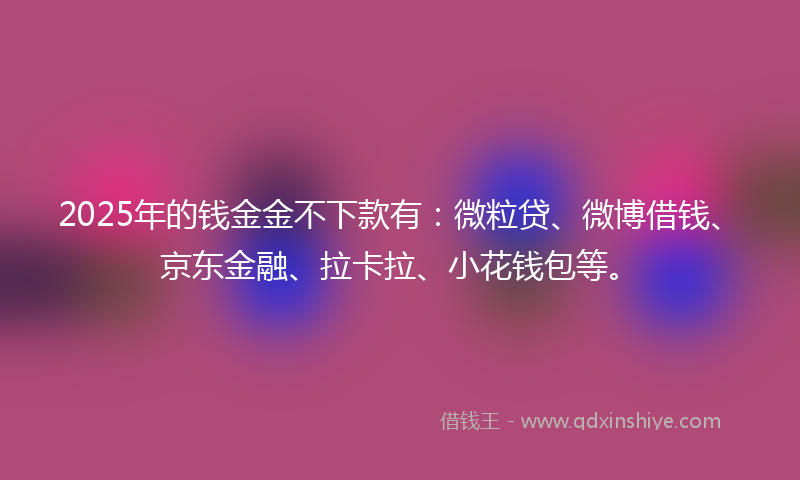 2025年的钱金金不下款有：微粒贷、微博借钱、京东金融、拉卡拉、小花钱包等。