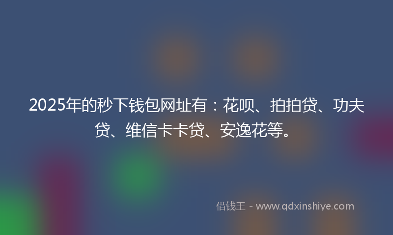 2025年的秒下钱包网址有：花呗、拍拍贷、功夫贷、维信卡卡贷、安逸花等。