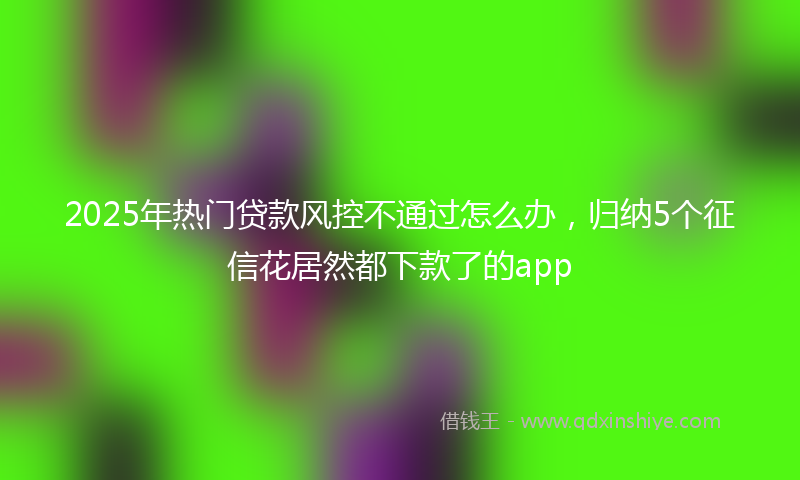 2025年热门贷款风控不通过怎么办，归纳5个征信花居然都下款了的app