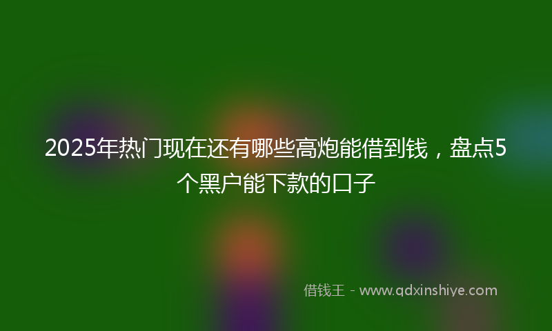 2025年热门现在还有哪些高炮能借到钱，盘点5个黑户能下款的口子