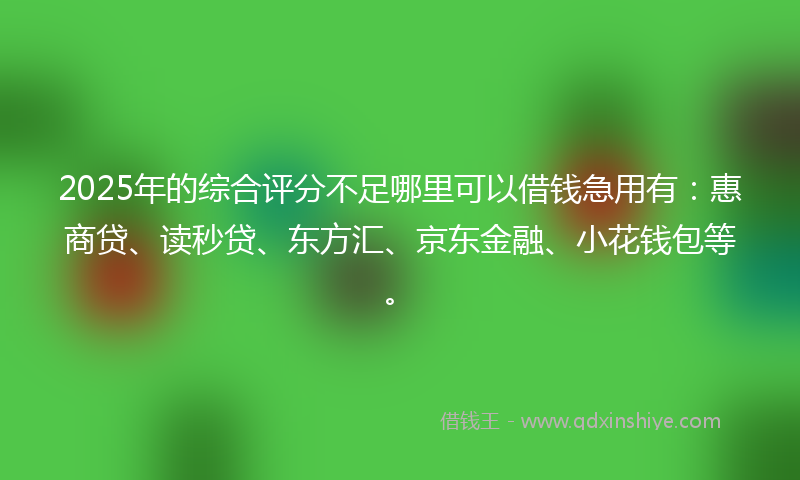 2025年的综合评分不足哪里可以借钱急用有：惠商贷、读秒贷、东方汇、京东金融、小花钱包等。
