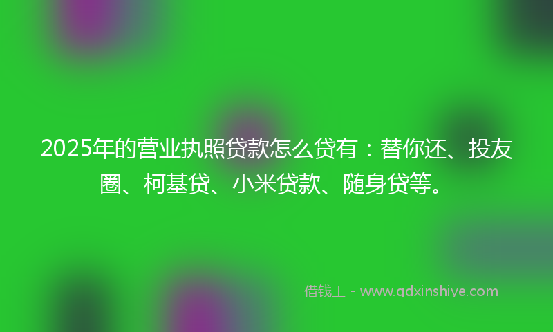 2025年的营业执照贷款怎么贷有：替你还、投友圈、柯基贷、小米贷款、随身贷等。