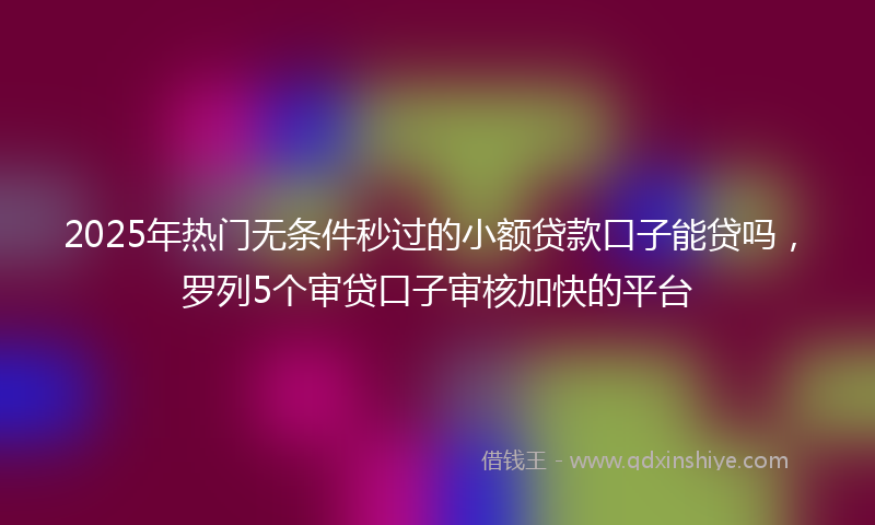 2025年热门无条件秒过的小额贷款口子能贷吗，罗列5个审贷口子审核加快的平台