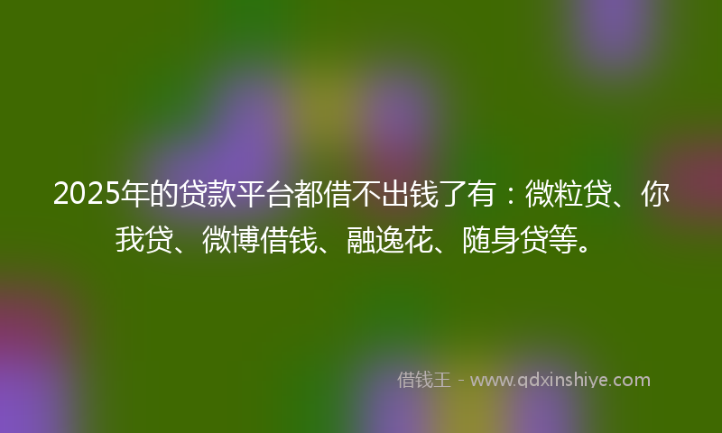 2025年的贷款平台都借不出钱了有：微粒贷、你我贷、微博借钱、融逸花、随身贷等。
