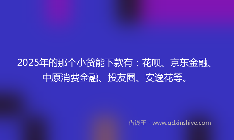 2025年的那个小贷能下款有：花呗、京东金融、中原消费金融、投友圈、安逸花等。