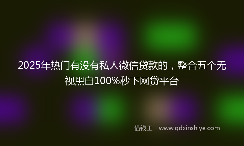 2025年热门有没有私人微信贷款的，整合五个无视黑白100%秒下网贷平台
