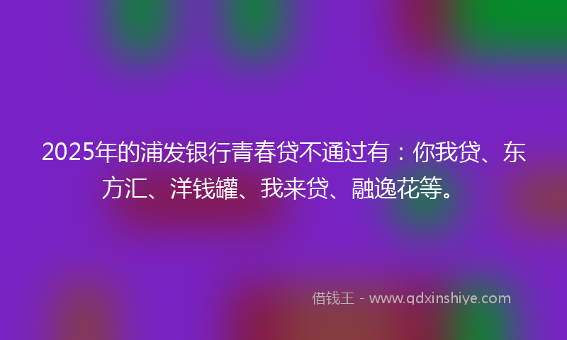2025年的浦发银行青春贷不通过有：你我贷、东方汇、洋钱罐、我来贷、融逸花等。