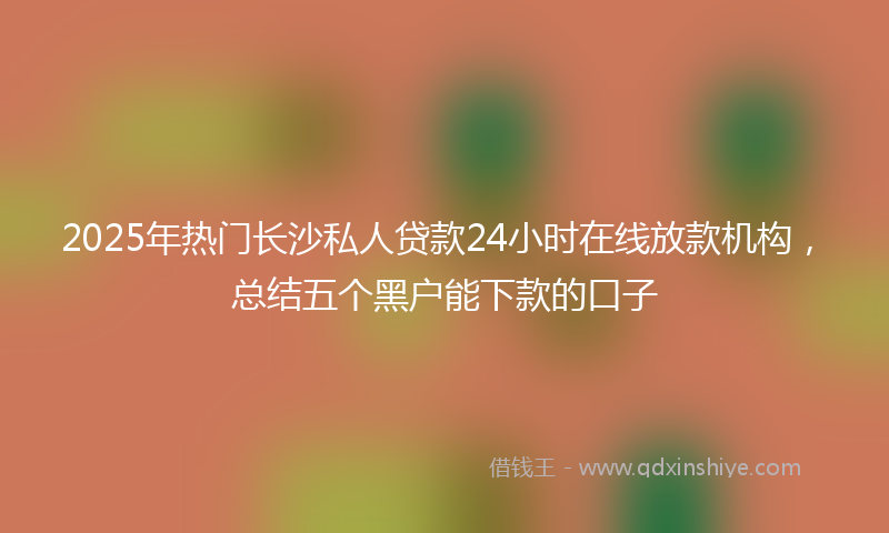 2025年热门长沙私人贷款24小时在线放款机构，总结五个黑户能下款的口子