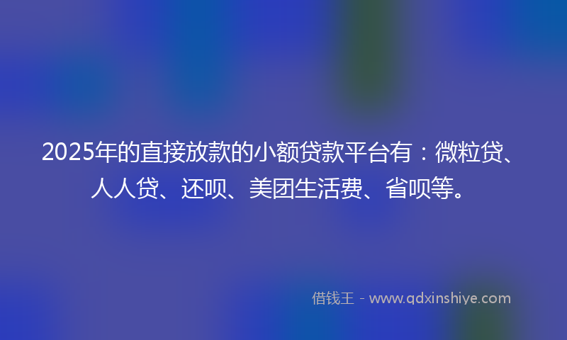 2025年的直接放款的小额贷款平台有：微粒贷、人人贷、还呗、美团生活费、省呗等。