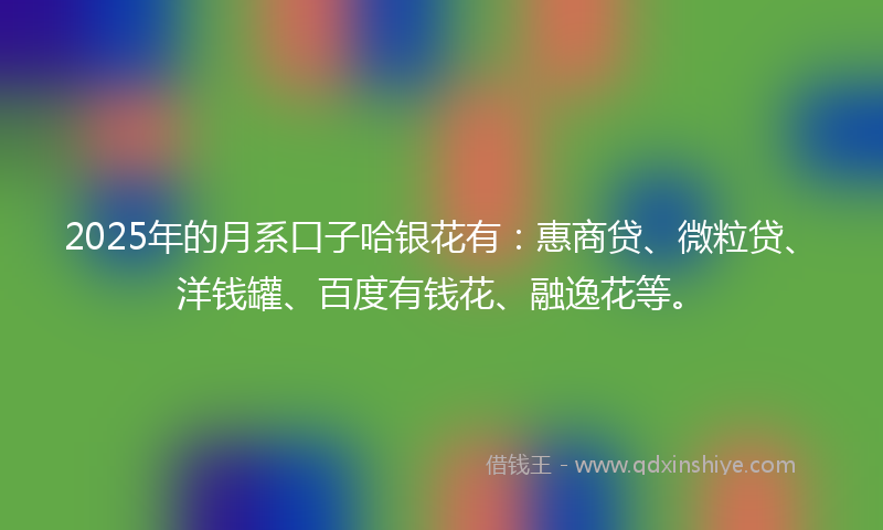 2025年的月系口子哈银花有：惠商贷、微粒贷、洋钱罐、百度有钱花、融逸花等。