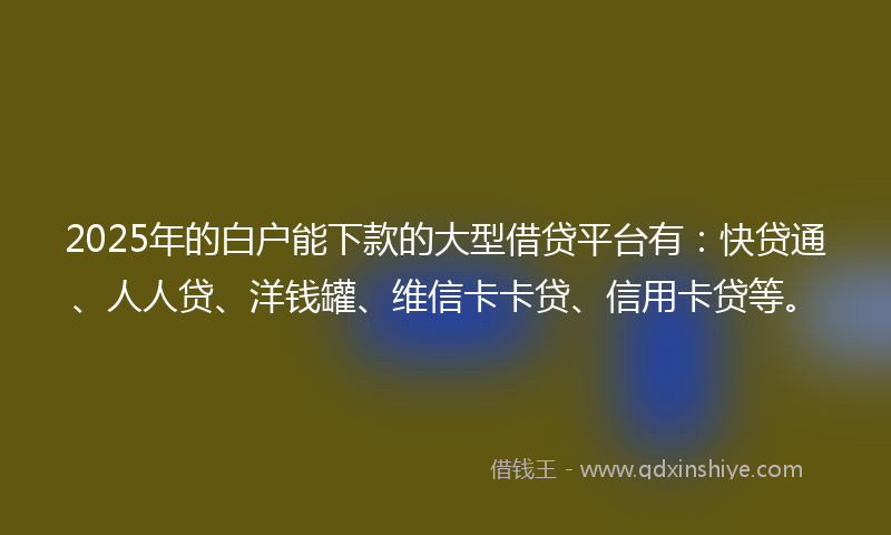 2025年的白户能下款的大型借贷平台有：快贷通、人人贷、洋钱罐、维信卡卡贷、信用卡贷等。