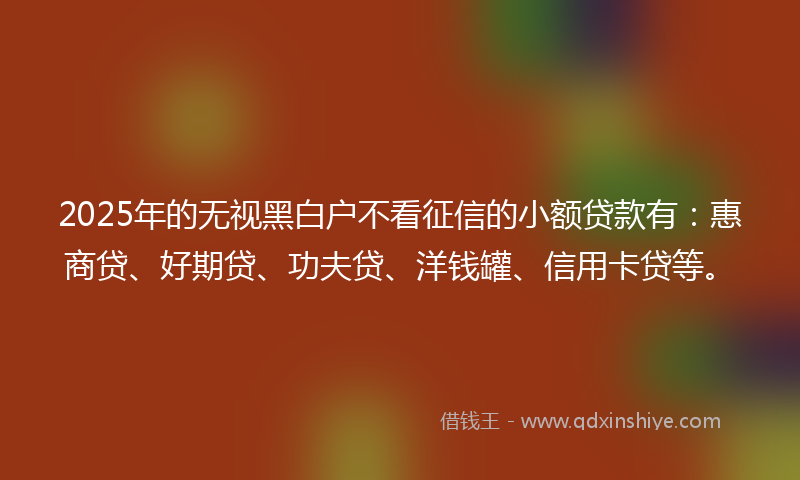 2025年的无视黑白户不看征信的小额贷款有：惠商贷、好期贷、功夫贷、洋钱罐、信用卡贷等。