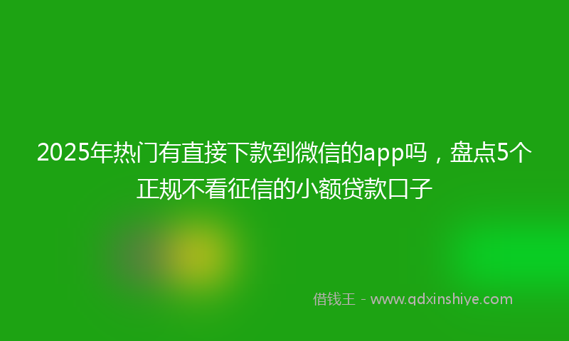 2025年热门有直接下款到微信的app吗，盘点5个正规不看征信的小额贷款口子