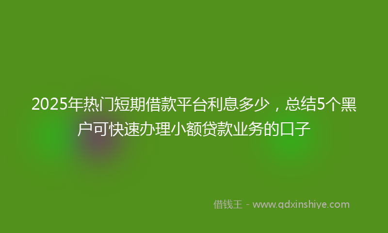 2025年热门短期借款平台利息多少，总结5个黑户可快速办理小额贷款业务的口子