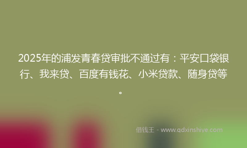 2025年的浦发青春贷审批不通过有：平安口袋银行、我来贷、百度有钱花、小米贷款、随身贷等。