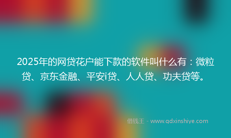 2025年的网贷花户能下款的软件叫什么有：微粒贷、京东金融、平安i贷、人人贷、功夫贷等。