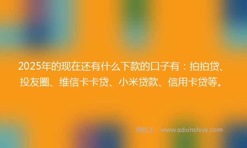 2025年的现在还有什么下款的口子有：拍拍贷、投友圈、维信卡卡贷、小米贷款、信用卡贷等。