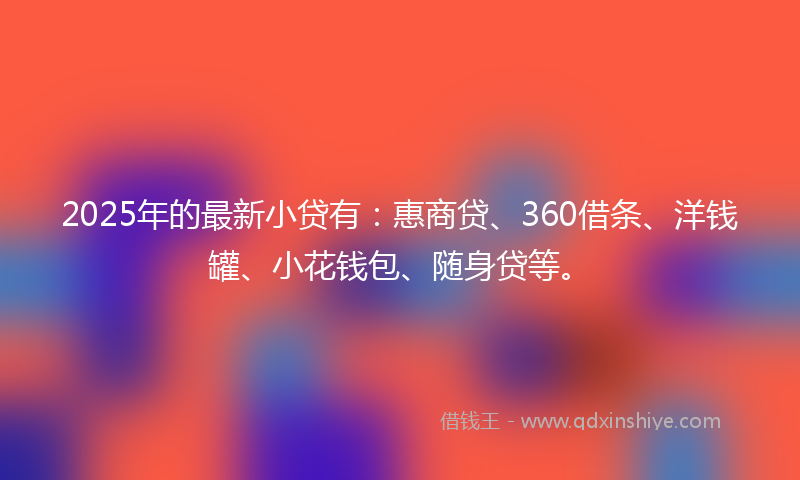 2025年的最新小贷有：惠商贷、360借条、洋钱罐、小花钱包、随身贷等。