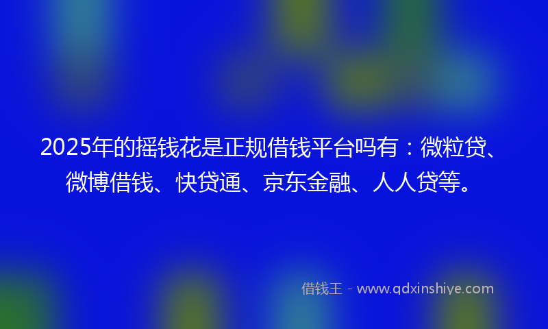 2025年的摇钱花是正规借钱平台吗有：微粒贷、微博借钱、快贷通、京东金融、人人贷等。