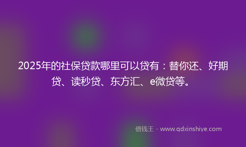 2025年的社保贷款哪里可以贷有：替你还、好期贷、读秒贷、东方汇、e微贷等。