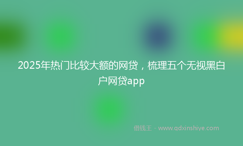 2025年热门比较大额的网贷，梳理五个无视黑白户网贷app