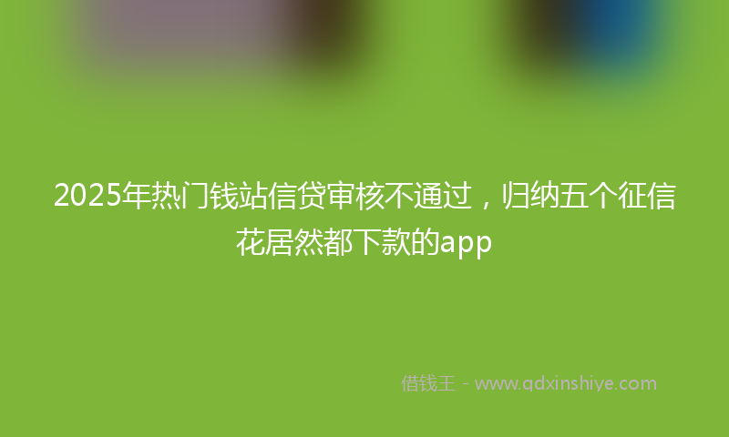2025年热门钱站信贷审核不通过，归纳五个征信花居然都下款的app