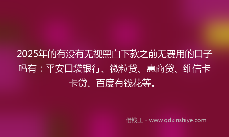 2025年的有没有无视黑白下款之前无费用的口子吗有：平安口袋银行、微粒贷、惠商贷、维信卡卡贷、百度有钱花等。