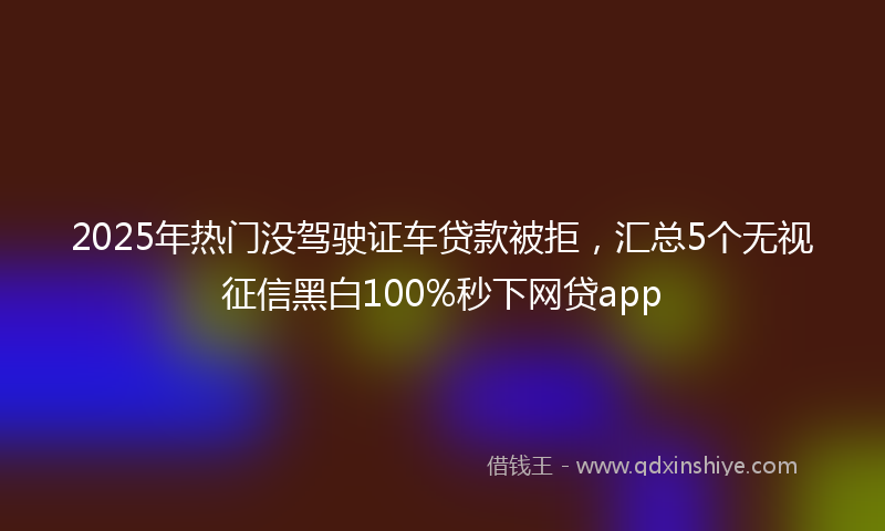 2025年热门没驾驶证车贷款被拒，汇总5个无视征信黑白100%秒下网贷app