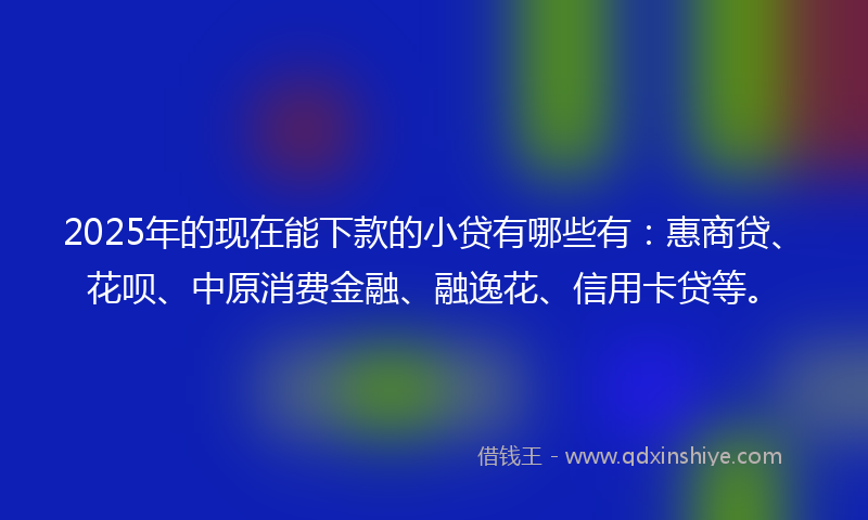 2025年的现在能下款的小贷有哪些有：惠商贷、花呗、中原消费金融、融逸花、信用卡贷等。