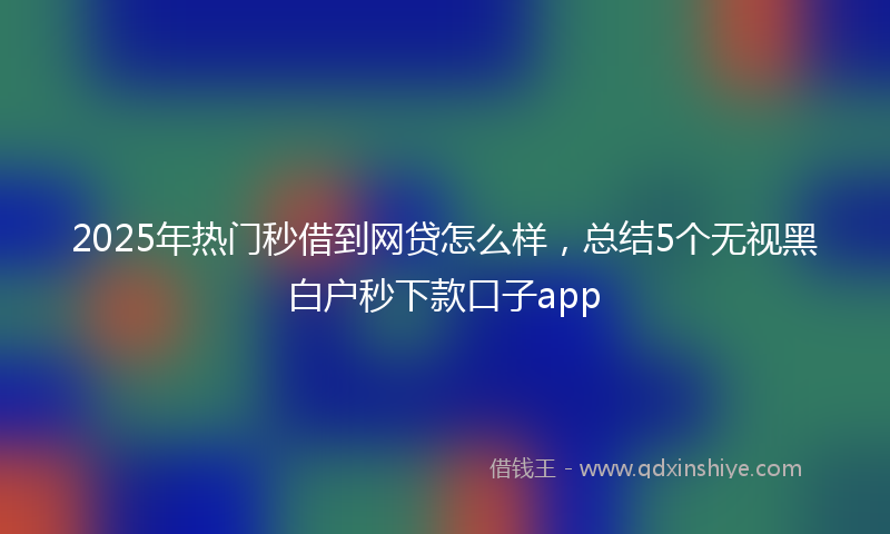 2025年热门秒借到网贷怎么样，总结5个无视黑白户秒下款口子app