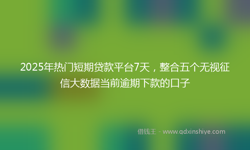 2025年热门短期贷款平台7天，整合五个无视征信大数据当前逾期下款的口子