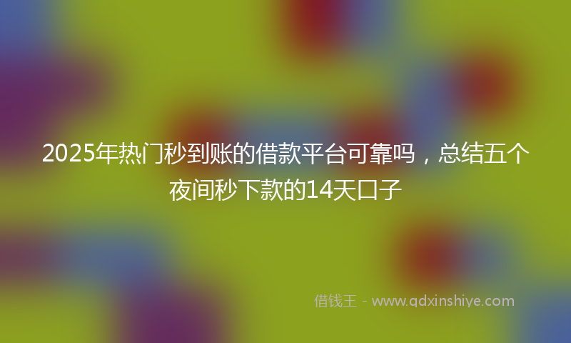 2025年热门秒到账的借款平台可靠吗，总结五个夜间秒下款的14天口子