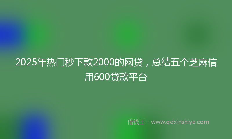2025年热门秒下款2000的网贷，总结五个芝麻信用600贷款平台