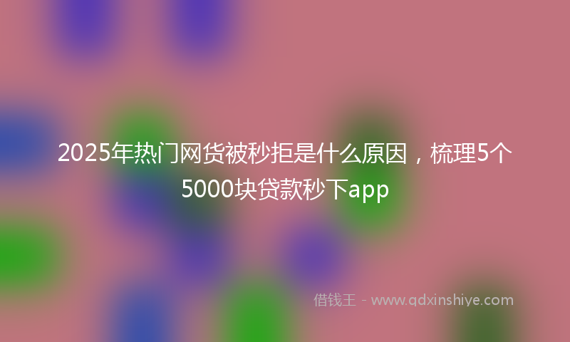 2025年热门网货被秒拒是什么原因，梳理5个5000块贷款秒下app