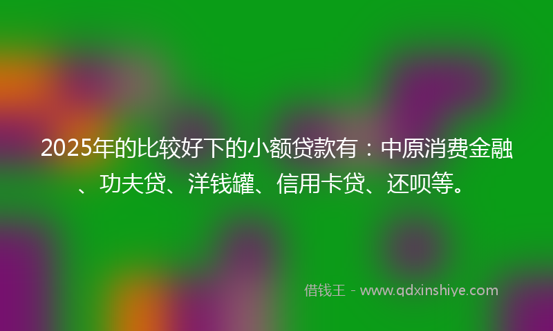 2025年的比较好下的小额贷款有：中原消费金融、功夫贷、洋钱罐、信用卡贷、还呗等。