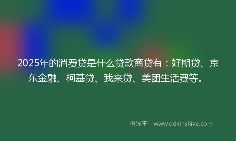 2025年的消费贷是什么贷款商贷有：好期贷、京东金融、柯基贷、我来贷、美团生活费等。