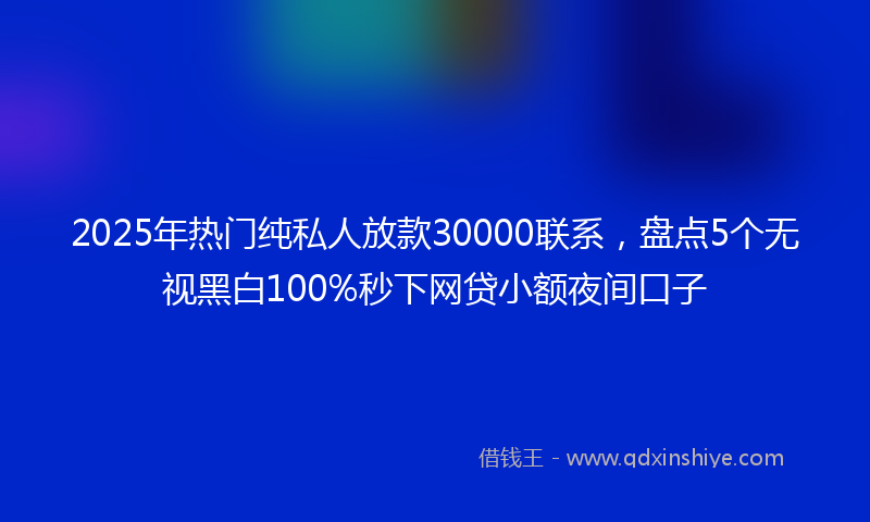 2025年热门纯私人放款30000联系，盘点5个无视黑白100%秒下网贷小额夜间口子